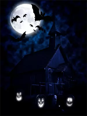 男友巴结假货千金后续