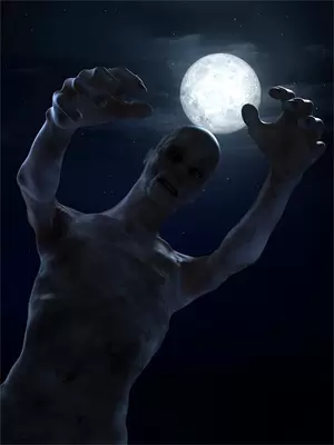 红玫瑰白刃：纠缠启示录