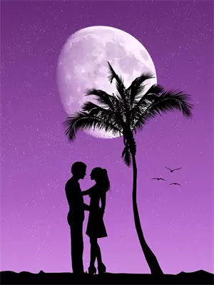 总裁离婚后前妻她后悔了