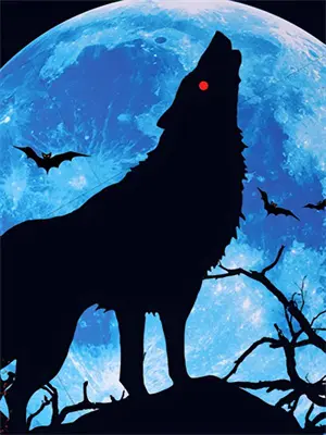 完美cover